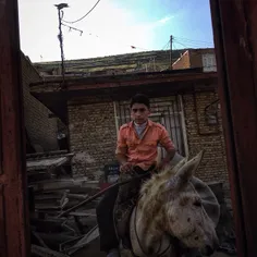 A 16 years old boy sitting on his donkey in his house aft