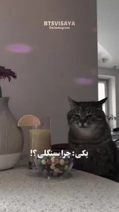 پرسیدی یا نه پدسگگگگ😂