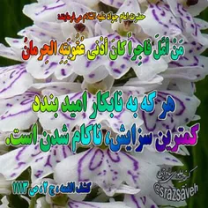 #حضرت_امام_جواد_ع می‌فرمایند: