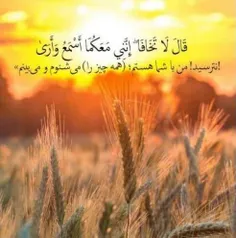 بِسْمِ اللَّهِ الرَّحْمَنِ الرَّحِیمِ 