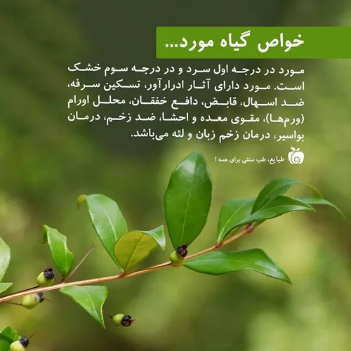 عطاری سلامت زیبایی نشاط خانگی