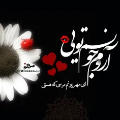 عاشقانه ها z.m.m 24142342