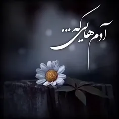 لایک و دنبال کردن یادتون نره عشقاا 🌻