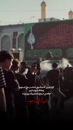 🖤امان از دل زینب (س)😭