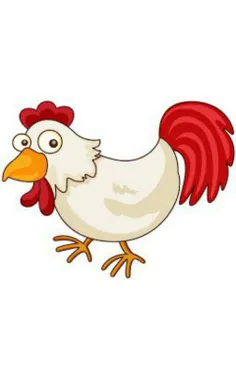 مرغ های امروزی 266% چربی بیشتری نسبت به 40 سال پیش دارند؟
