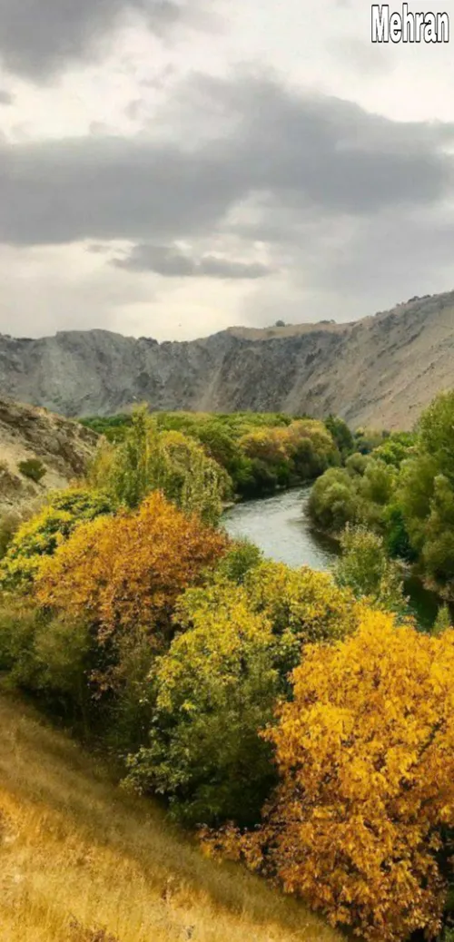 دفتر نقاشی