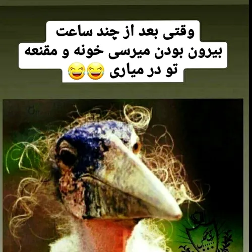 خانمهای ویسگون😅😂