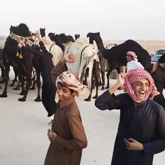 The #AlDosary tribe from #SaudiArabia celebrate their cam