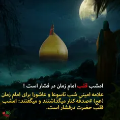 علامه امینی شب عاشورا برای امام زمان (عج)صدقه کنار