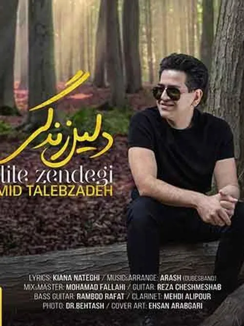 http://dl.vaiomusic.org/dl5/Music/2019/6/Hamid%20Talebzad