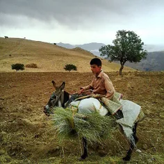 A farmer rides a donkey alongside a farm. Galvazan Villag