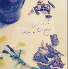 دیگر نخواهم گشت عاقل، چای لطفا!