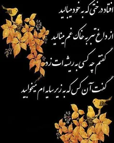 عکس نوشته .....zeynab..... 19294501