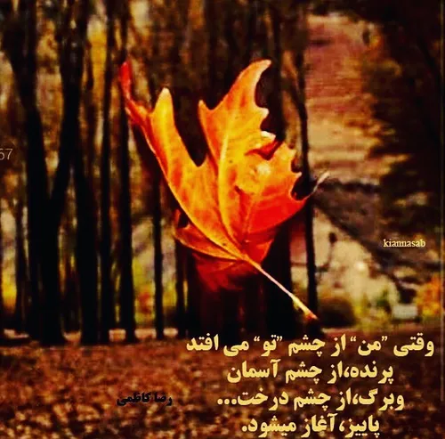 پاییز آغاز میشود ...