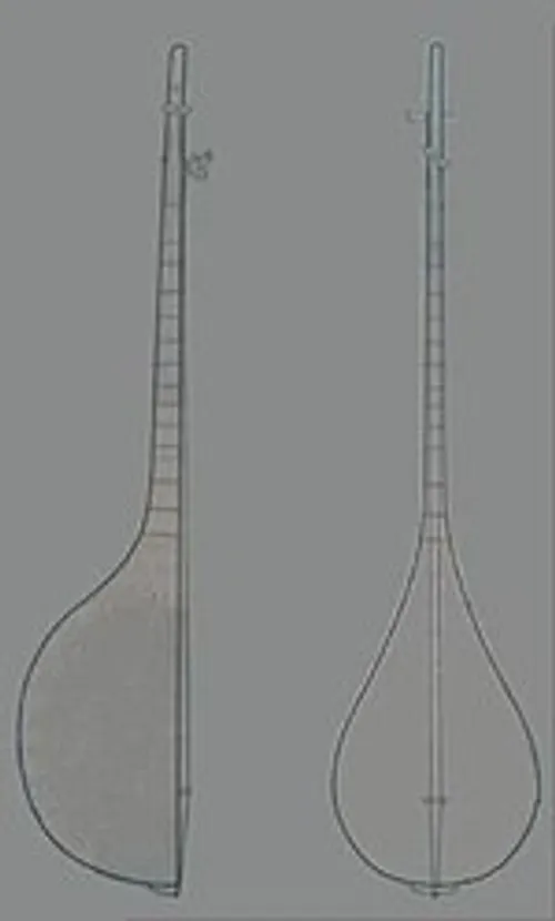 دوتار یکی از سازهای مضرابی موسیقی ایرانی است و همان گونه 