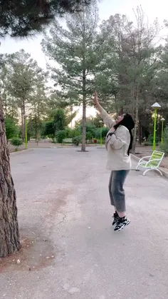 mojtaba_1995 76979399