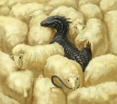 قرار نیست اگر دور و برت همه گوسفندن توام گوسفند باشی