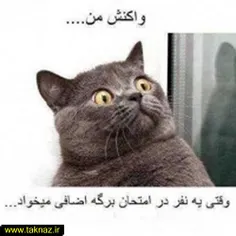 شما چى؟