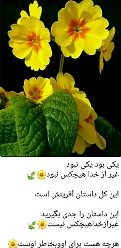 مذهبی hosseinnaseri1300 19344799