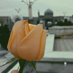 ✰تاڪےبہ‌پس‌پرده‌نھان،چھره‌ماهت🌙•