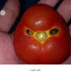 جل الخالق
