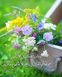 عکس نوشته shahide25 29050665