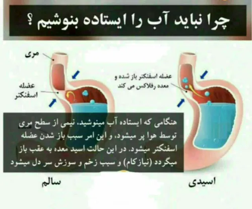 روش درست نوشیدن آب؛بصورت نشسته است