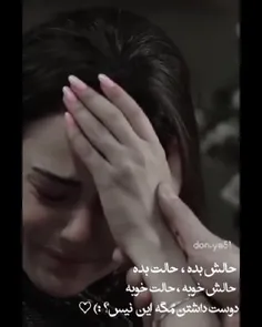 مگه این نی ؟!