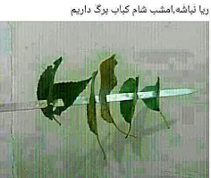 جاتون خالی خخخ