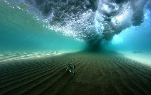 عکسی خیره کننده از یک ماهی در زیر موج های آب!😳 😍