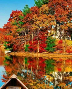 پاییز زیبا، جنگل رنگارنگ دریاچه indian lake در اوهایو