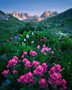 خوشبختی دیگران ..!!