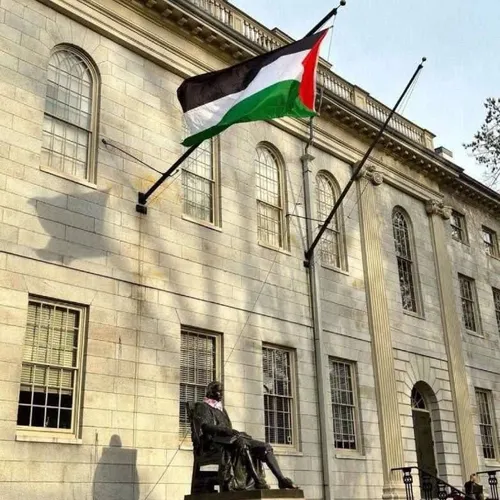 برداشتن پرچم آمریکا و برافراشتن پرچم فلسطین در محوطه دانش