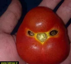 Angry Tomato 
