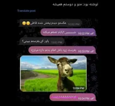 کدوم+دوستته؟+🫠😂