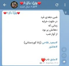 سعید فلاحی (زانا کوردستانی)