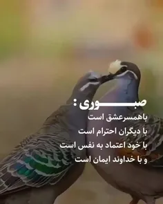 ای ول ✌️✌️✌️✌️✌️👍👍👍👍👍