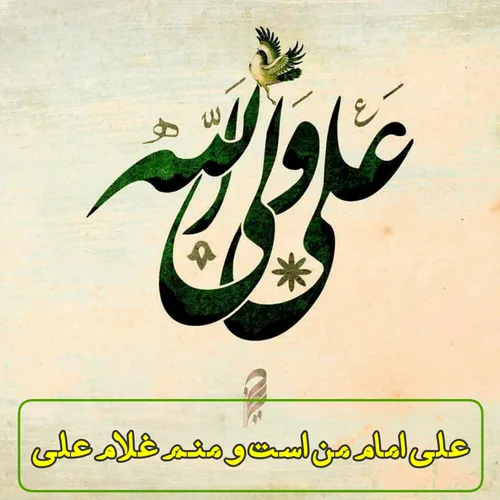 علی امام من است و منم غلام علی