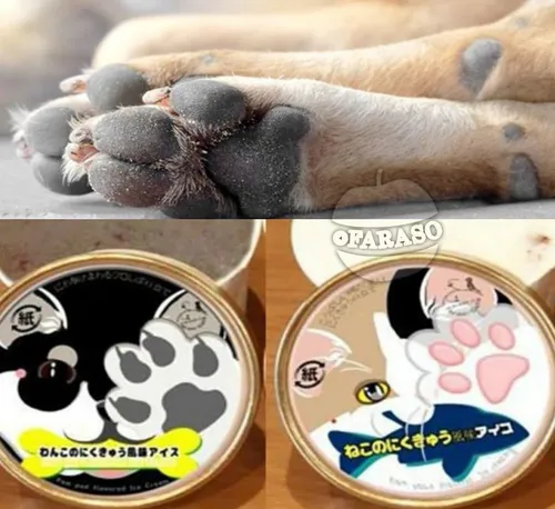 عجیبترین بستنی جهان با بافت پنجه گربه و سگ در ژاپن تولید 