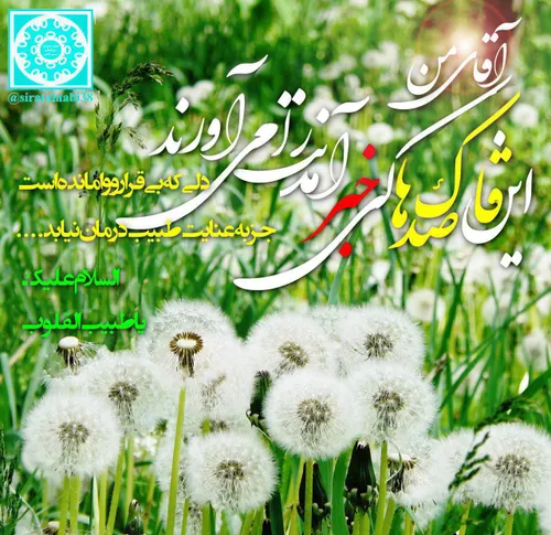 السلام علیک یا طبیب القلوب