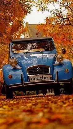 #Car 🚘 🍁