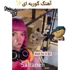 دخترک همچین خودشو گرفته انگار چخبره 😐 منم میتونیم چنین کا