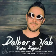 دانلود آهنگ جدید ناصر زینلی به نام دلبر ناب