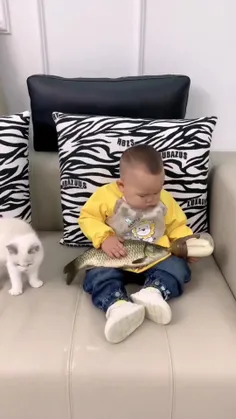 میخواد چاقش کنه بده پیشی بخورتش😂😂😂😂😘🐱🐟👶🏻