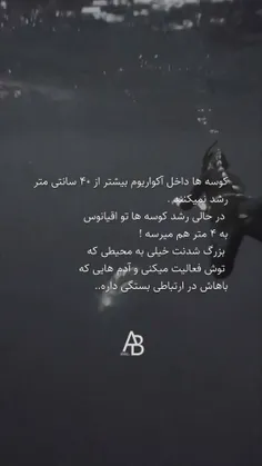 عنوانی برای نوشتن ندارم.....🌊🦈💙