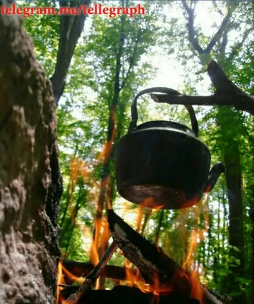 صبحم عسل و ترانه و چایی شد