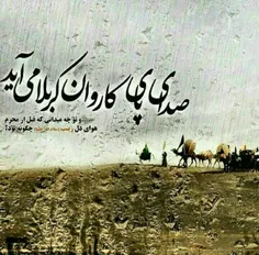 از آن خوشم که شدم نوکر سرای حسین