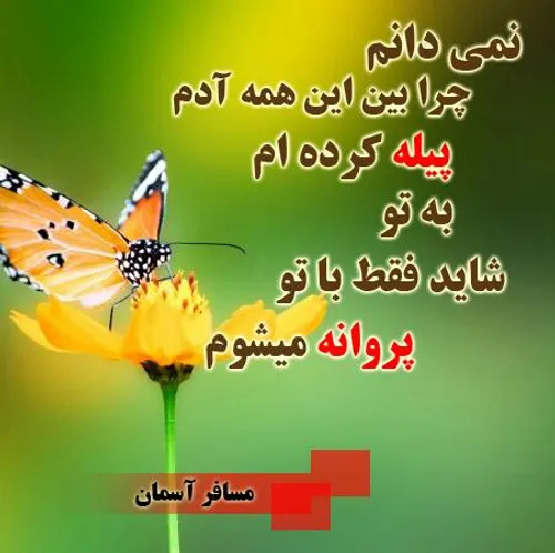 چرا؟