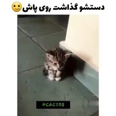 ننه خدااااااا