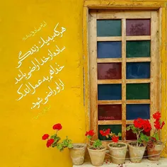 امام صادق علیه السلام فرمودند